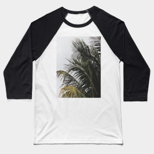 palm tree Baseball T-Shirt